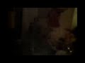 Mais um Show de Cadu e Bi�