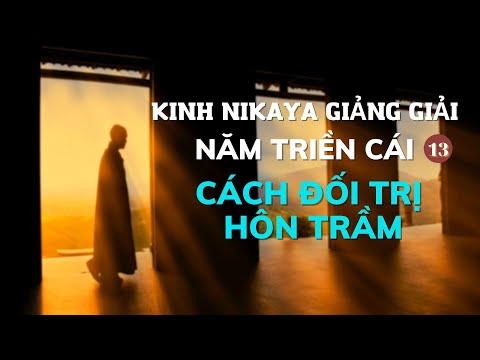 Kinh NIKAYA Giảng Giải - Năm Triền Cái 13 - Cách Đối Trị Hôn Trầm