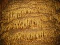 blanchard springs caverns