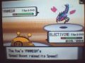 #8 Pokemon Wifi battle vs. someone from the same forum as last battle