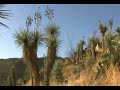 Mapimi Durango Museo Benito Juarez Naturaleza MontenegroProd