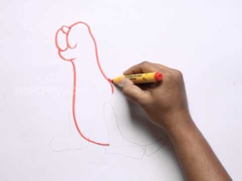 video-linktoworks-How to Draw a Sea lion - YouTube