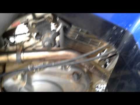 350 warrior 350 warrior