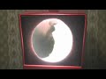 see the world by the deadly deaths