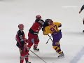 Ledin VS Liimatainen
