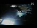 BUCK-TICK Alice in Wonder Underground
