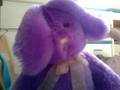 videos de Bunny Commercial.mov