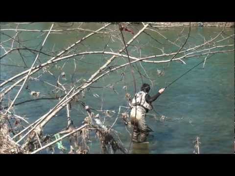 See video