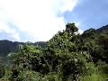 Goa Dudhsagar Waterfalls