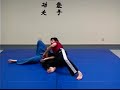 Walkaround Armbar from CombatDVDs.Com