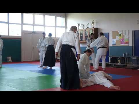 27 202604 SUGA Vire Sode Dori Ikkyo