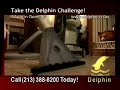 Delphin Song Delphin Song
