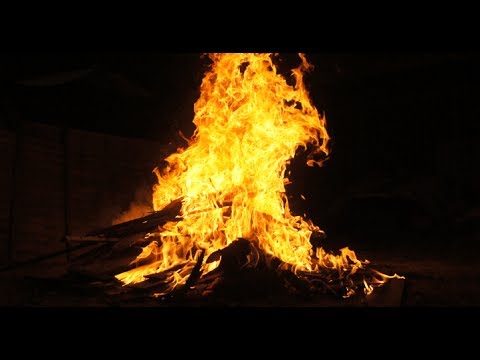 how to collect firewood