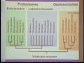 Beyond The Human Genome: What's Next?