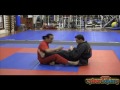 Cyberdojang.com: Mastermind – Intro to Leg Locks