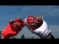 Architecture in Helsinki - Heart it Races [director's cut]