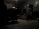 b-day the ninja way part 1