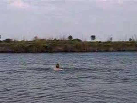 Swimming to Angola