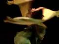 Petite Jamilla Veil Dance
