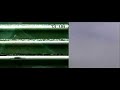 Amateur rocket launch