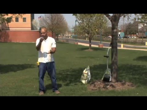 how to fertilize moss