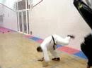 Pit-Bull  Leipheim Sportschule Gürel Taekwondo & Allkampf