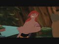 Ferngully - Real Ferngully Wildlife