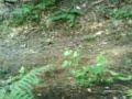 me downhill 1