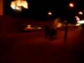 videos de szl colin 2