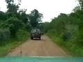 Land Rover Discovery on a jungle trail 2