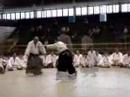 Aikido - Sensei Wagner Bull 5