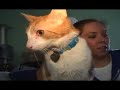 We are a non-profit rescue group that caters to special needs cases.