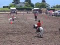 concours de pony-games