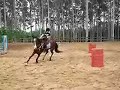 Linda Gama e Tulipa