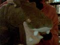 Aipo the Hippo