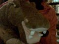 Aipo the Hippo