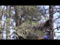 Tree Cutting and Tree Sitter Surveillance 3/25/2013 ...