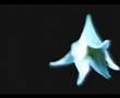 Booktrailer de La Lama del Dolore