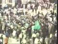 seyyed zaker-goosh bekoni dareh miad