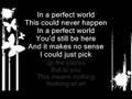 Simple-plan-perfect-