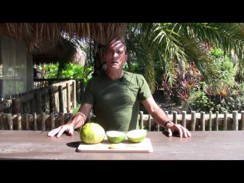 how to grow ugli fruit
