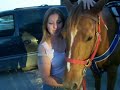 Re: Shorty horse bucking