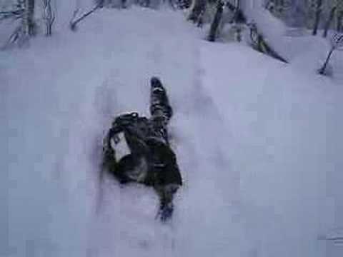 Fjällturken
