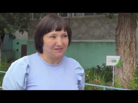 Просмотр видео