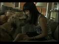 The Dogsitter