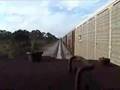 FEC Train Meet At Micco