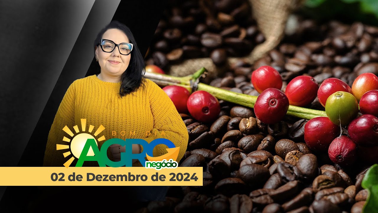Bom dia Agro 02/12/24 - MERCADO DA SOJA