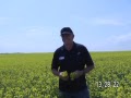 Correlating Nutrient Deficiencies with Electrical Conductivity