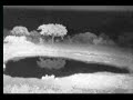Possible Common Duiker 2.22.07 12.48am