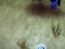 Spore